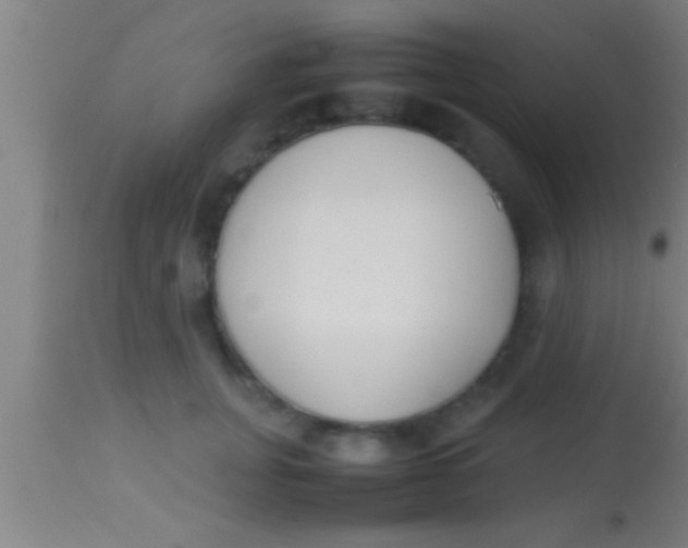 X0000113930751200910161851