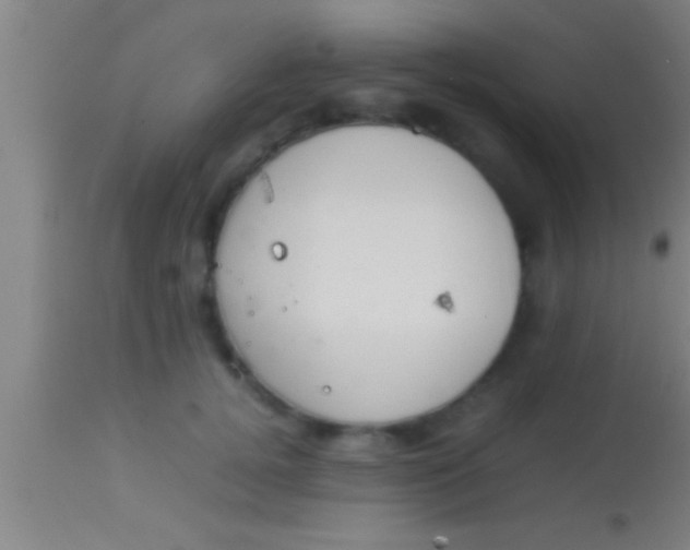 X0000113930752200910161851