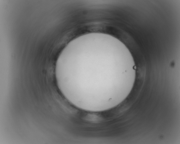 X0000113930753200910161851