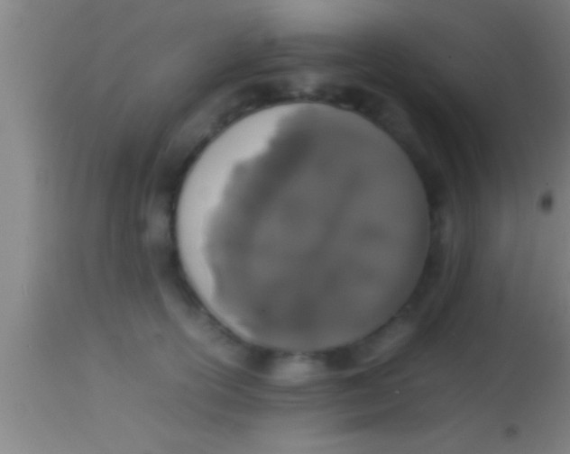 X0000113930754200910161851