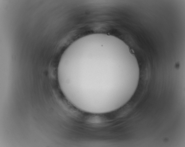 X0000113930755200910161851