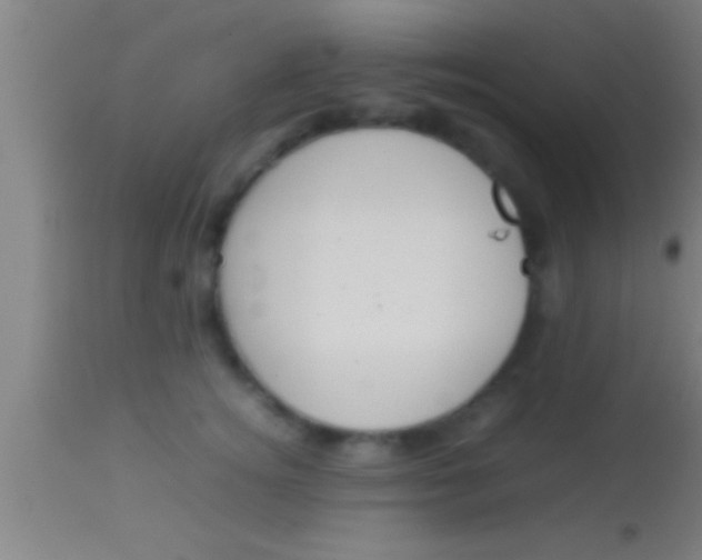 X0000113930756200910161851