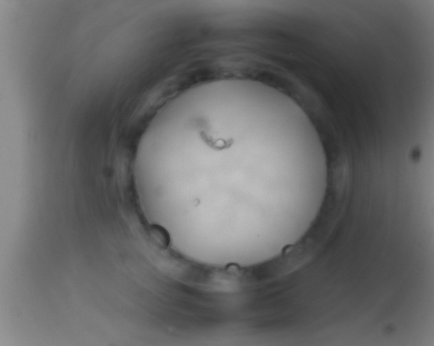 X0000113930757200910161851