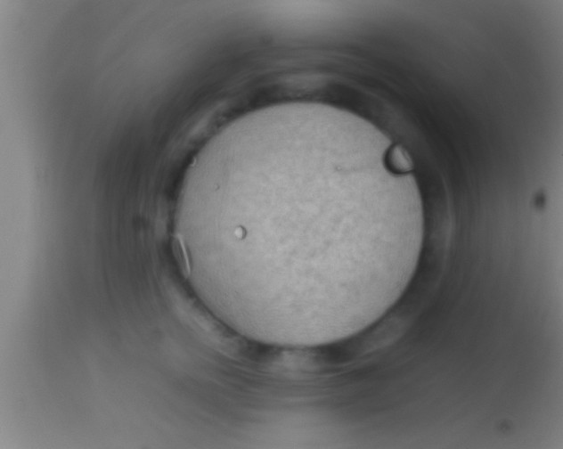 X0000113930758200910161851