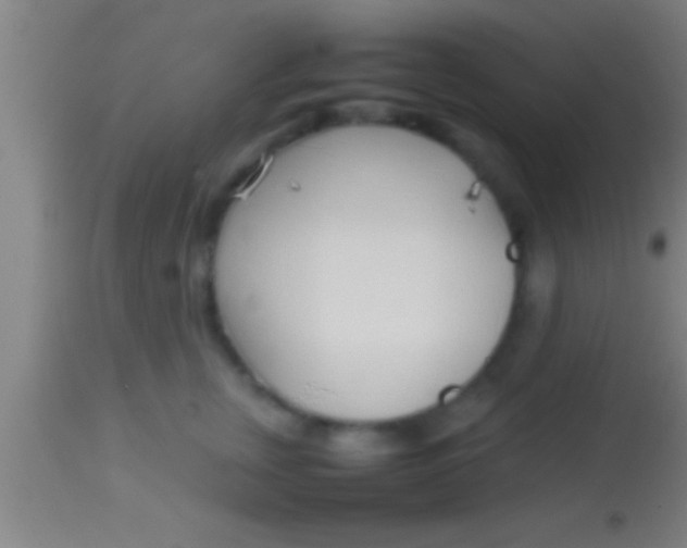 X0000113930759200910161851