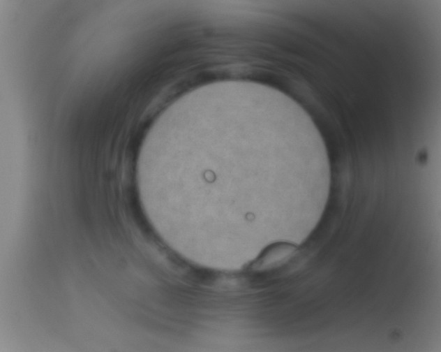 X0000113930760200910161851