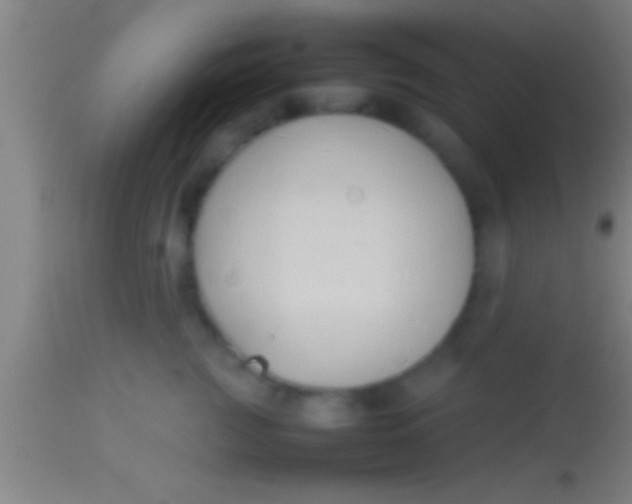 X0000113930761200910161851