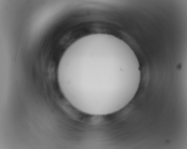 X0000113930762200910161851