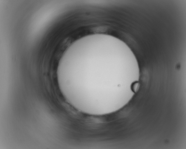 X0000113930763200910161851