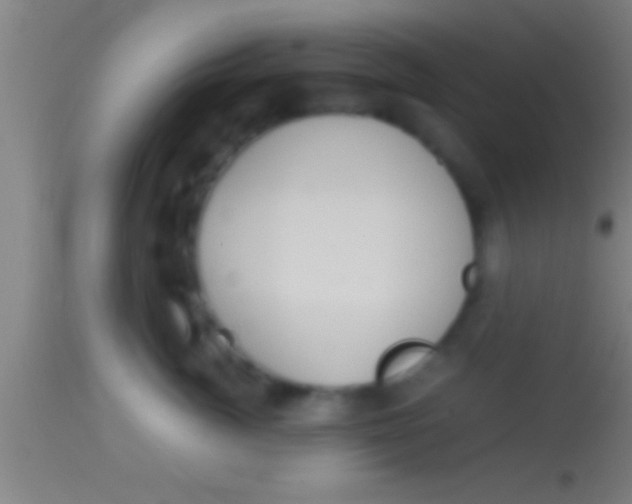 X0000113930764200910161851