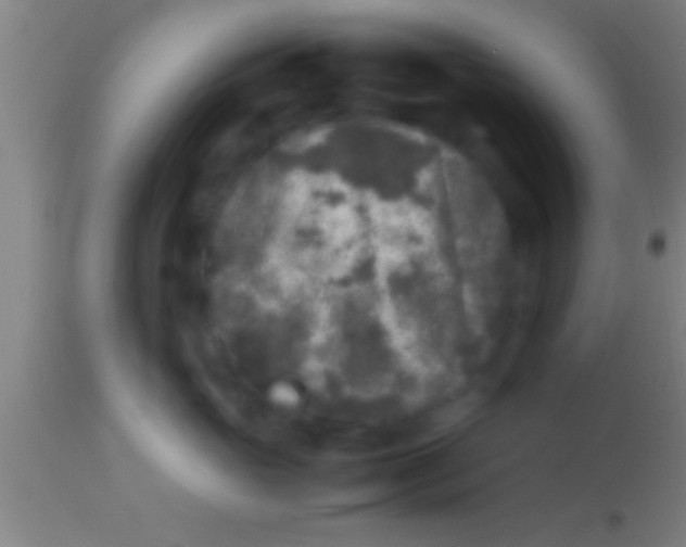 X0000113930765200910161851