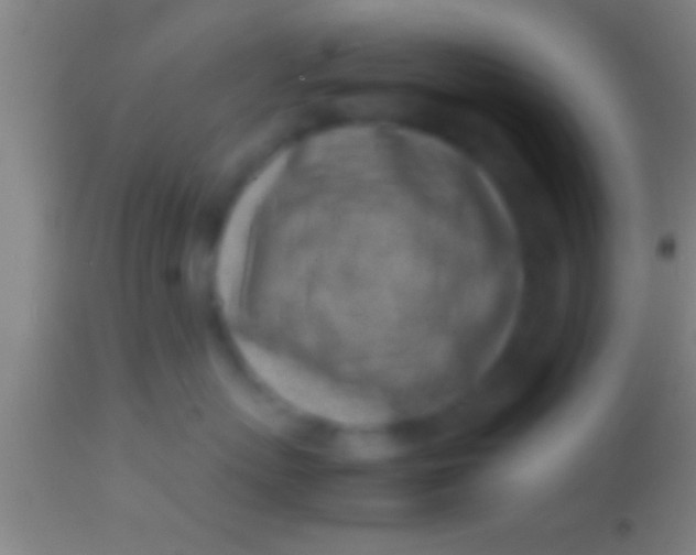 X0000113930767200910161851