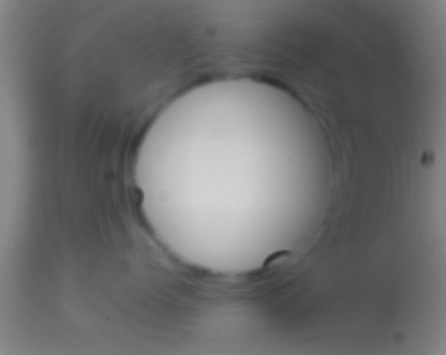 X0000113930768200910161851