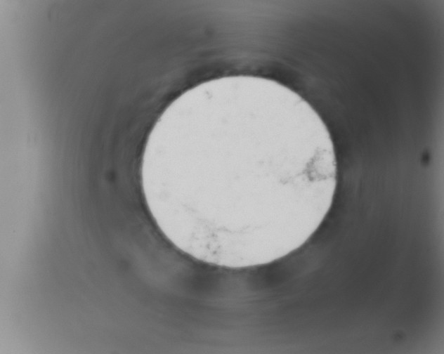 X0000113930769200910161850