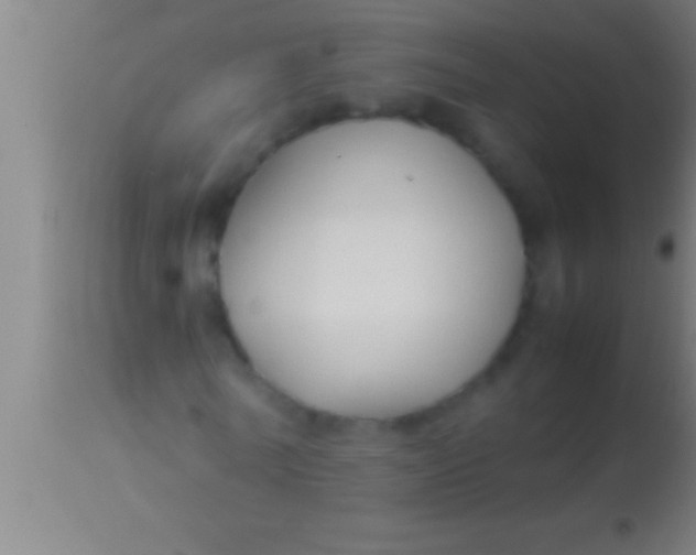 X0000113930770200910161850