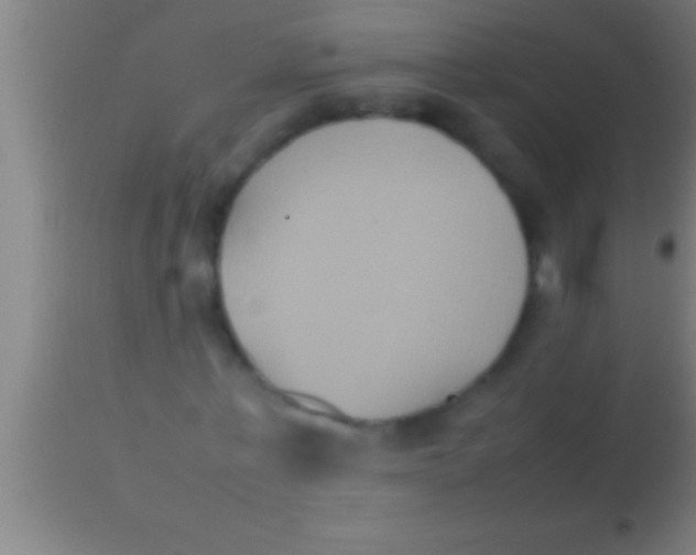 X0000113930771200910161850