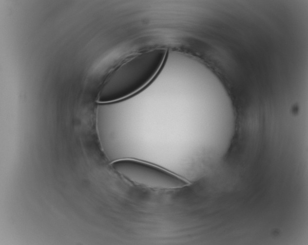 X0000113930773200910161850