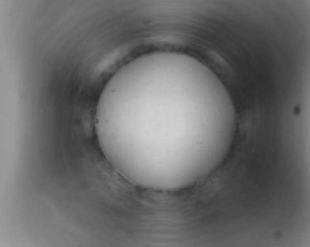 X0000113930774200910161850