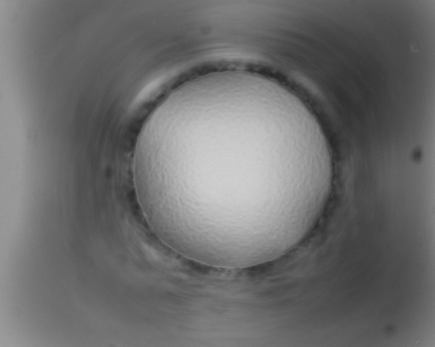 X0000113930775200910161850