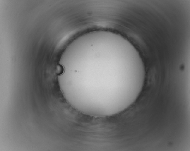 X0000113930776200910161850