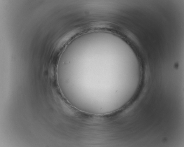 X0000113930777200910161850