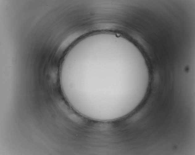 X0000113930778200910161850