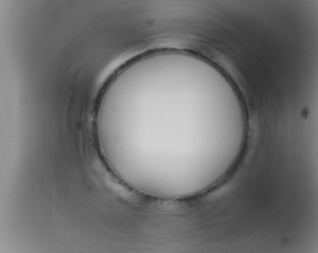 X0000113930779200910161850