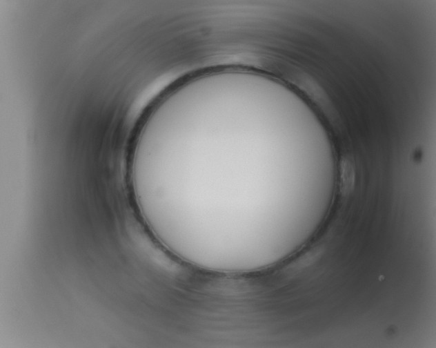 X0000113930780200910161850