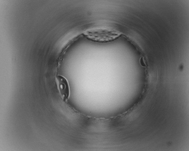 X0000113930781200910161850