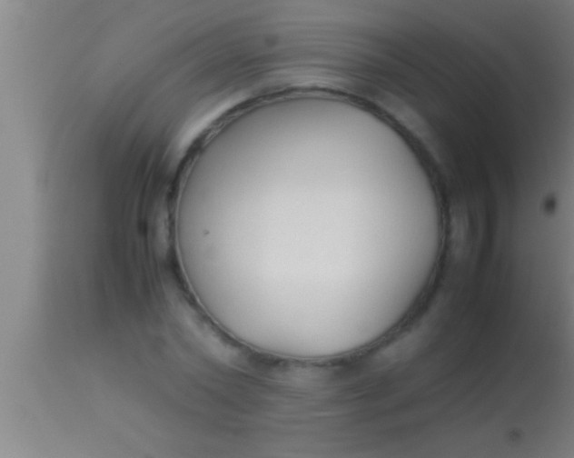 X0000113930782200910161850