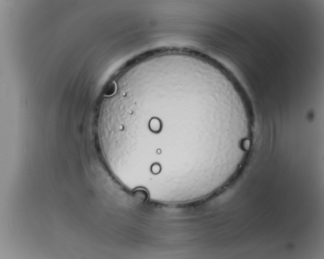 X0000113930783200910161850