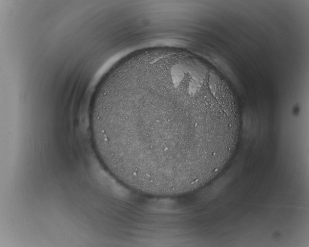 X0000113930784200910161850