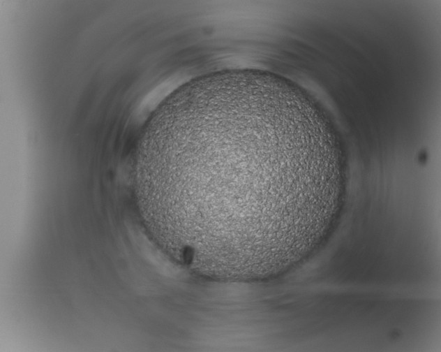 X0000113930785200910161850