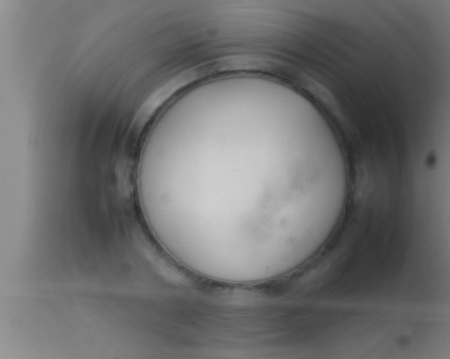 X0000113930786200910161850