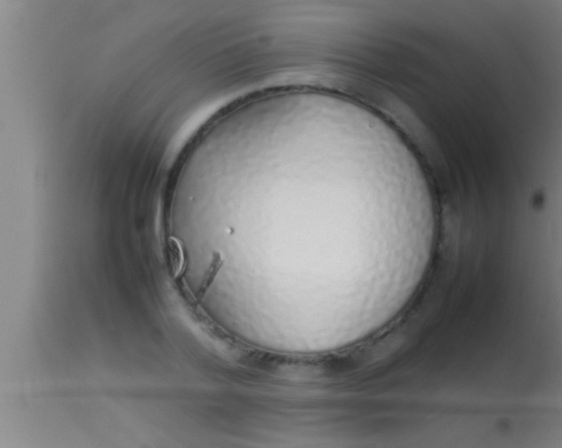 X0000113930788200910161850