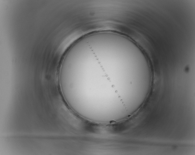 X0000113930789200910161850