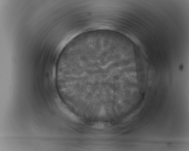 X0000113930790200910161850