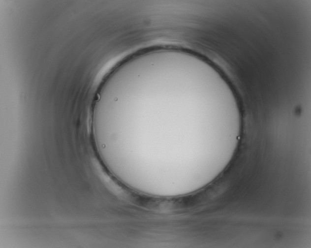 X0000113930791200910161850