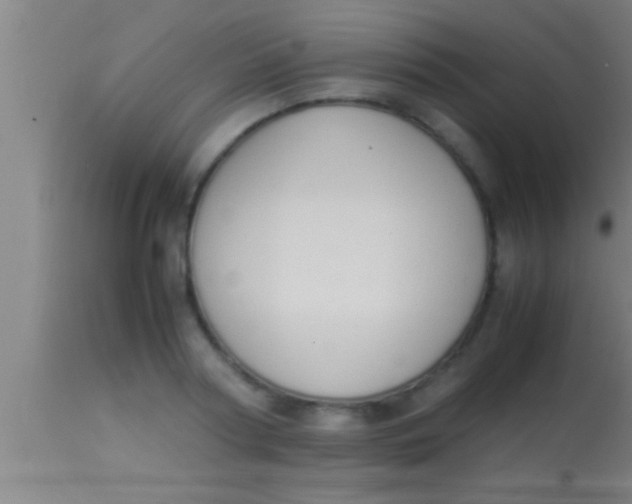 X0000113930794200910161850