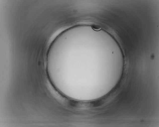 X0000113930795200910161850