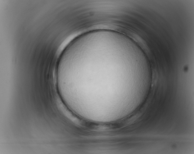 X0000113930796200910161850