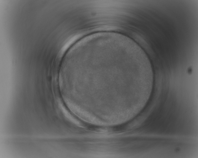 X0000113930797200910161850