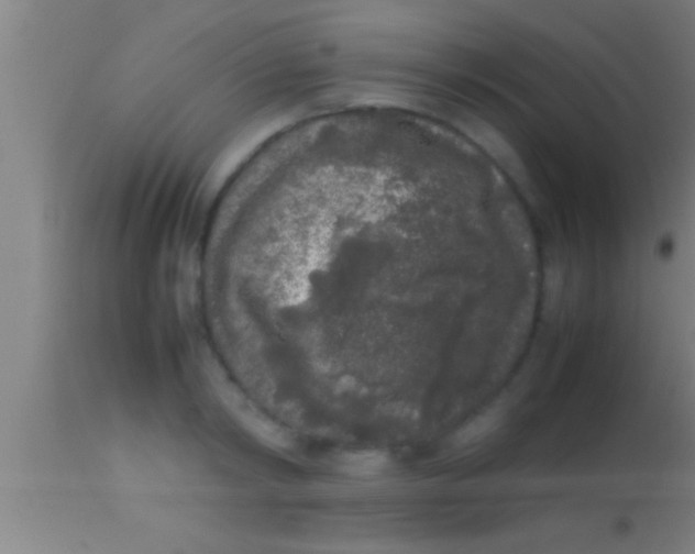 X0000113930798200910161850