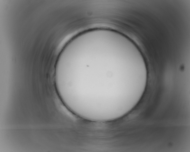 X0000113930799200910161850