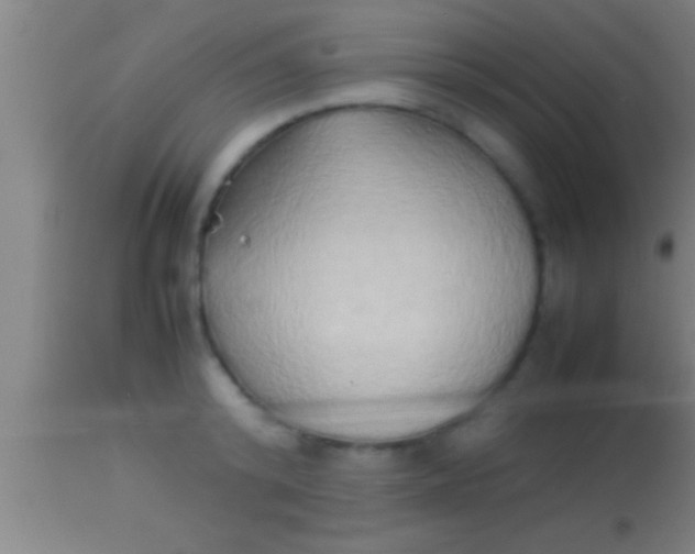 X0000113930800200910161850