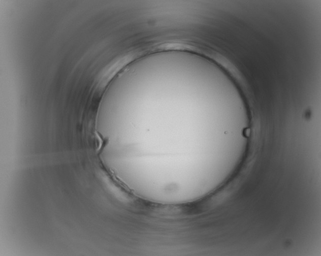 X0000113930801200910161850