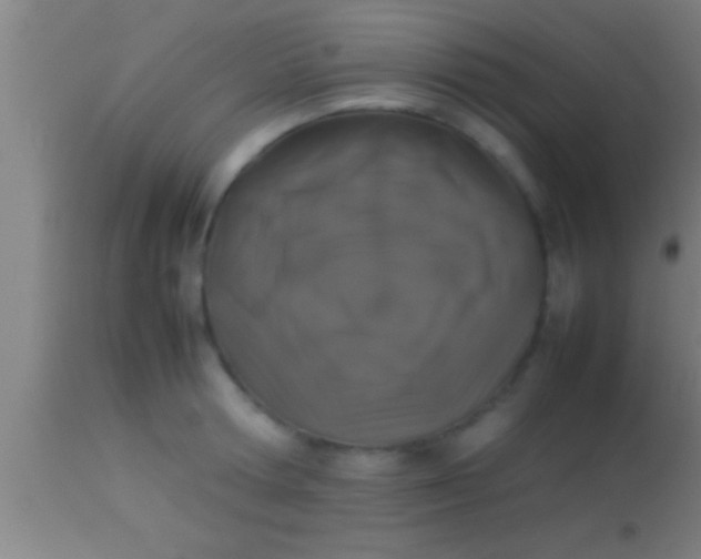 X0000113930802200910161850