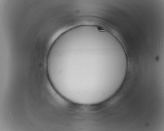 X0000113930803200910161850