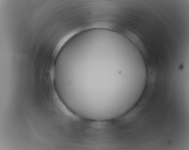 X0000113930804200910161850