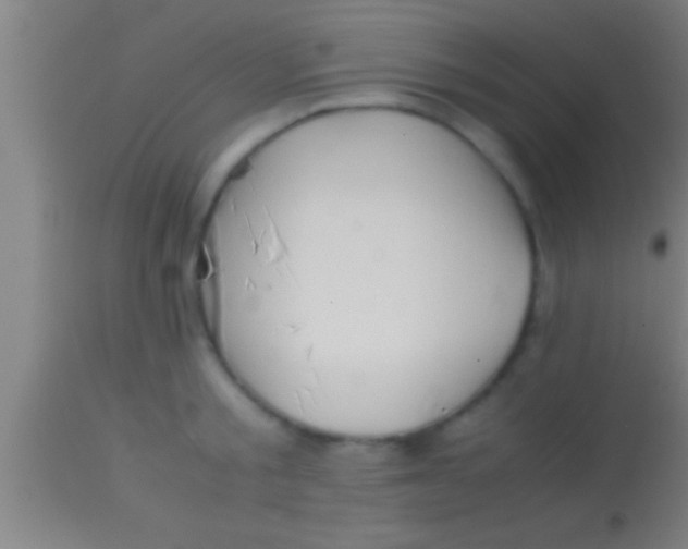 X0000113930805200910161850